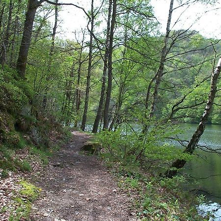 Holiday Home A Pas De Loup La-Roche-en-Ardenne Ngoại thất bức ảnh