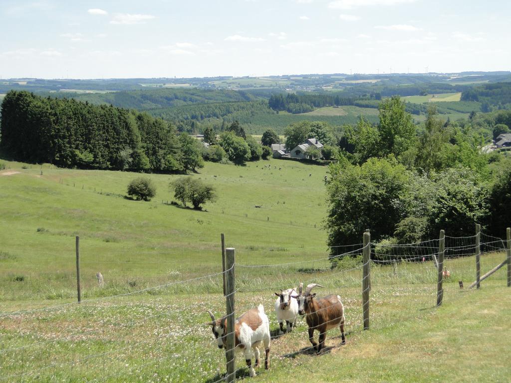 Holiday Home A Pas De Loup La-Roche-en-Ardenne Phòng bức ảnh