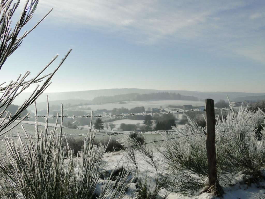 Holiday Home A Pas De Loup La-Roche-en-Ardenne Ngoại thất bức ảnh