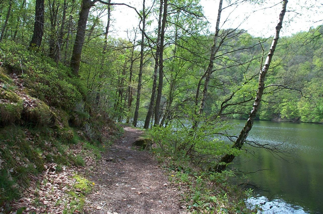 Holiday Home A Pas De Loup La-Roche-en-Ardenne Ngoại thất bức ảnh